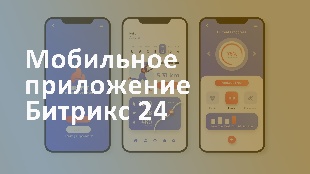 Мобильное приложение Битрикс 24: удобство работы в любое время и из любого места