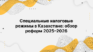 Специальные налоговые режимы в Казахстане: обзор реформ 2025–2026