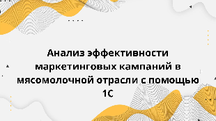 Анализ эффективности маркетинговых кампаний в мясомолочной отрасли с помощью 1С